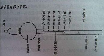 葫芦丝是哪个民族的乐器 