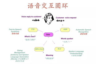 调侃语音助手 工大教授 我们的研究领域会开启人工智能新世界