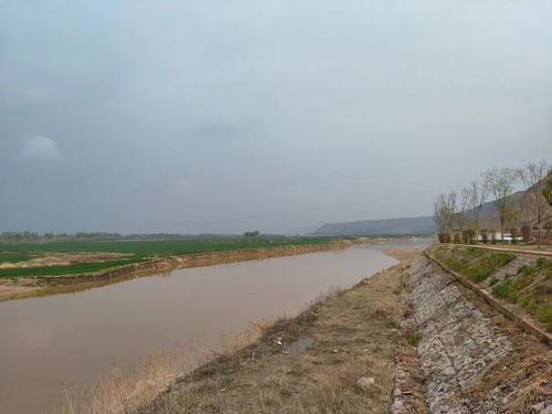 黄河对岸是家乡