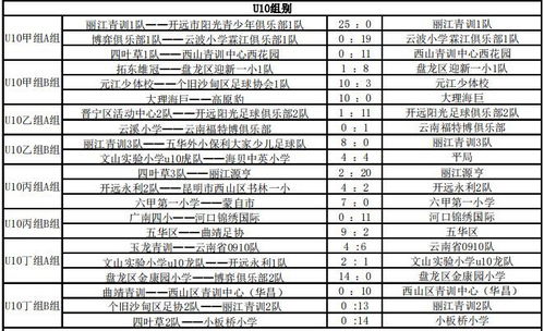 日本足球世锦赛排名表