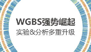 北京诺禾致源科技股份有限公司怎么样？