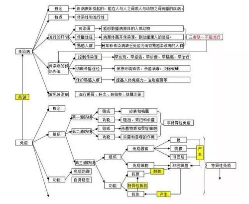 初三生物 10大专题思维导图 知识点汇总,助力期末