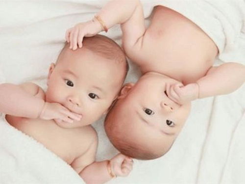 怎样才能生双胞胎，怎样才能生出双胞胎