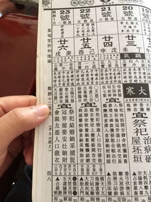 马男龙女生属相婚配