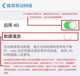 iPhone手机网络设置,蜂窝移动数据开关