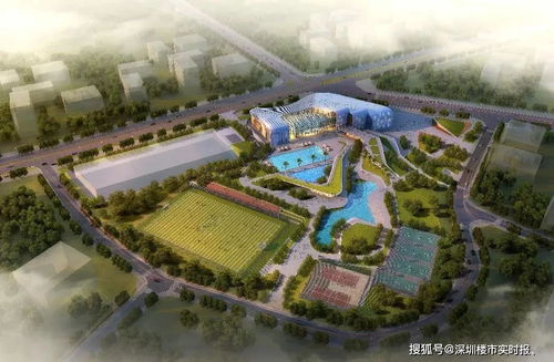 龙华人,你关心的简上体育综合体 龙华文体中心等项目都有最新进展