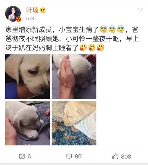 叶璇自曝料男友baby都有了,这是几个意思,男友不是小默先生吧 