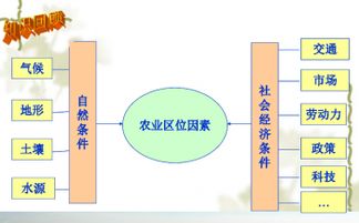 高二必修3地理关于美国农业的问题