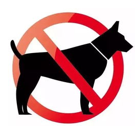 金华人 下月起,这21种狗不能再养了 重点管理区禁养犬只标准出炉