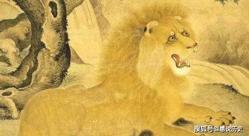 狮子和老虎到底谁厉害 东汉皇帝做了个试验,连比三场,结局亮了