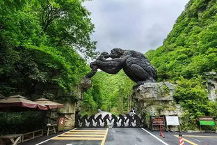 南漳免费停车场有哪些项目,中国旅游日湖北省免费景点旅游指南