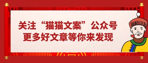 爱军励志—荣誉介绍怎么写？