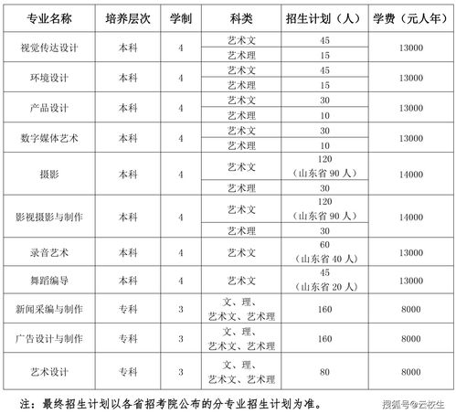 济南大学泉城学院论文查重案例分析