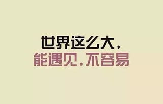 我在鑫达等你 