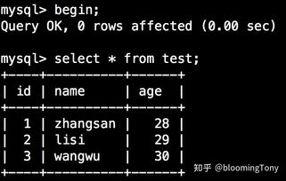 mysql数据库隔离级别怎么看(对mysql数据库事务的理解)