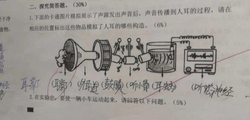 耳廓还是耳郭 小学科学课本有没有写错 杭州一位妈妈一路较真,结果令人意外