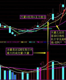 模拟炒股能竞价买进第一天上市股而实盘为什么买不到呢