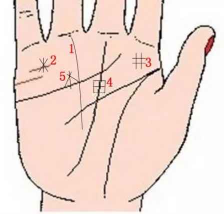 9种手纹的女人命好 哪种手掌纹的女人命好