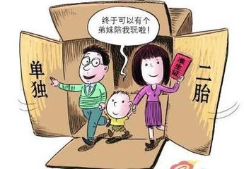 再婚家庭生二孩最新政策,二孩政策的利与弊是什么