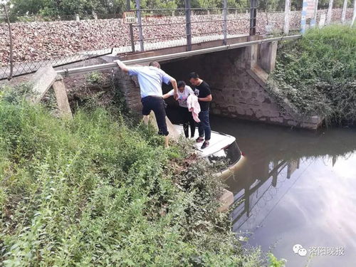 危险 洛阳一对夫妻开车进涵洞被淹,有一样东西关键时刻能救命