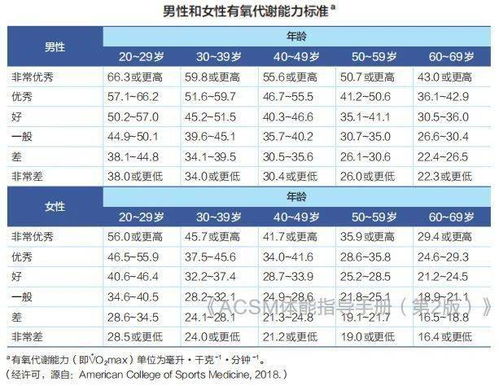 有氧适能水平低于平均是什么意思(有氧适能指标)