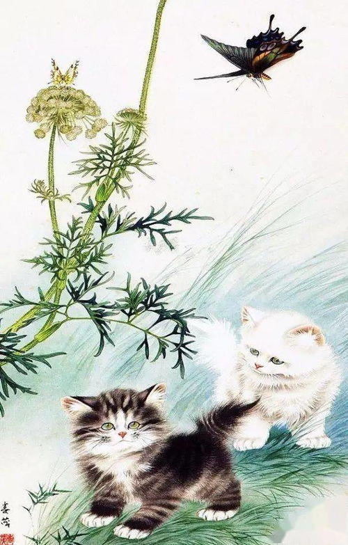 三位国画家的小猫咪PK外国美女的小猫咪