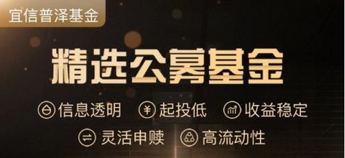 新手 怎么买基金！怎么入门？ 假如 我投入5万的话， 每个月收益大概是多少， 或者 亏 多少？ 大概 就行？