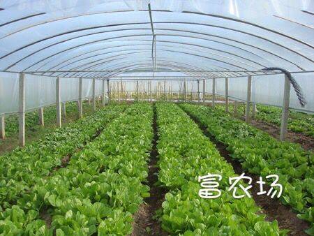 蔬菜大棚的建造与用材,蔬菜大棚建设的相关技术 