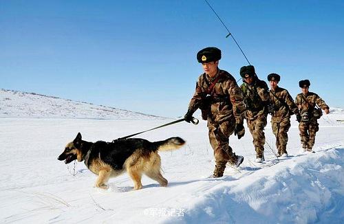 你们知道 犬王 这部早期抗日电影吗 