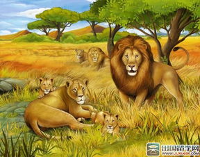 儿童睡前故事 猴子与狮子的决战 