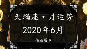 猫巫塔罗 处女座2020年7月感情运势占卜,被爱蒙蔽,许多怀疑