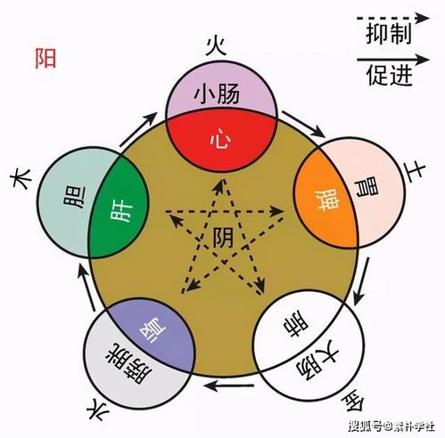 学中医的两条主线 断病位 断病性