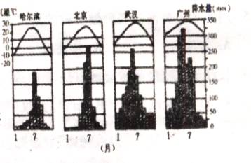 下列关于概率的叙述正确的是（　　）A．某运动员投篮5次，投中4次，投中的概率为0.8B．任意抛掷一枚硬币