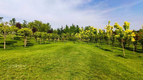 西安沣河岸边有座运动公园,草地广阔湖水荡漾,适合郊游打球跑步