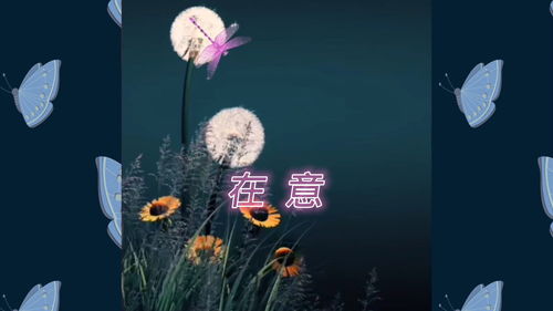 在意 好听歌曲欣赏 