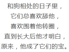 流浪狗收养4岁男孩,患难与共两年后竟付出生命的代价