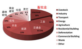 全球谷物产量接近历史最高：市场‖联合国粮农组织报道