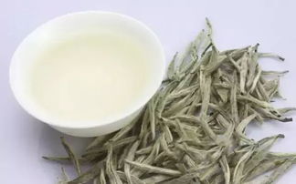 白茶什么季节喝,绿雪芽的白茶最适合在哪个季节喝呢？
