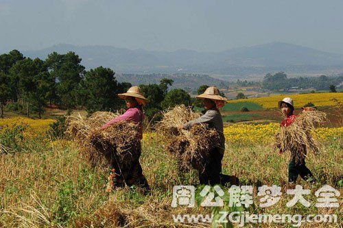 梦见干活是什么意思 梦到干活好不好 大鱼解梦网 