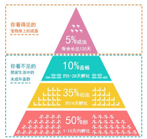 大宠爱驱虫效果怎么样