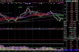 请分析一下000926福星股份可能的走势，谢谢