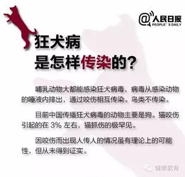 2017年9月28日 第11个 世界狂犬病日 主题 文明养犬,消除狂犬病 