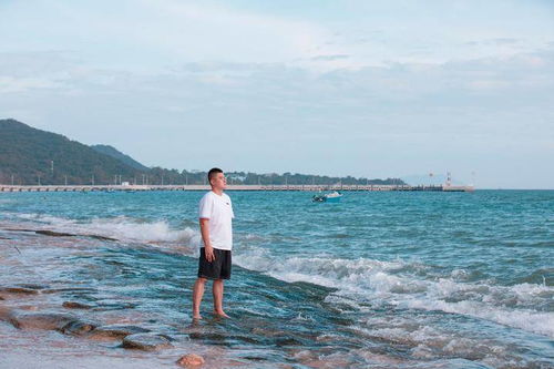 海风轻轻的吹,南海的浪温柔的抚摸着沙滩....