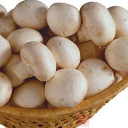 蛋黄蘑菇功效与作用,蛋黄蘑有毒吗