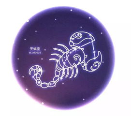 周运 尼小采塔罗占卜十二星座运势9.9日 9.15日