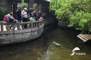 早安山东丨趵突泉景区回应 为风水泉水养海豹 支付宝年度账单来了