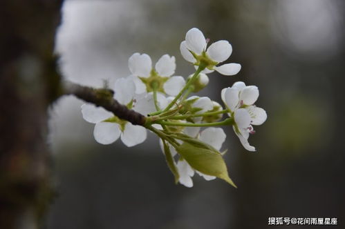 2021这几个星座最有好人缘