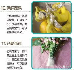 保鲜膜容易滋生细菌 正确使用办法在这里 