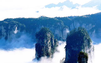 深圳到张家界旅游团价格要多少钱(从深圳到张家界旅游要多少钱从深圳到张家界旅游要多少钱)