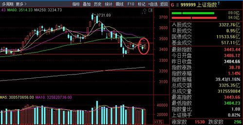 个股异动：华纬科技、征和工业等多股触及涨停板